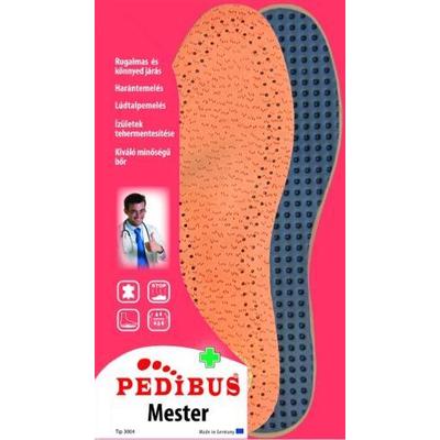 Pedibus Mester